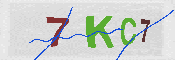 キャプチャ画像