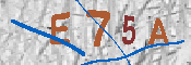 キャプチャ画像