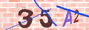 キャプチャ画像