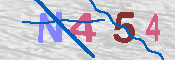 キャプチャ画像