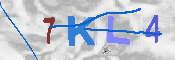 キャプチャ画像