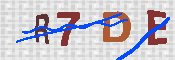 キャプチャ画像