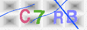 キャプチャ画像