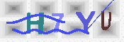 キャプチャ画像
