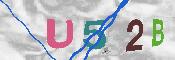キャプチャ画像