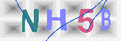 キャプチャ画像