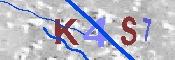 キャプチャ画像
