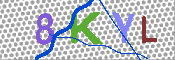 キャプチャ画像