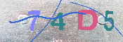 キャプチャ画像