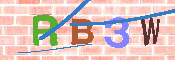 キャプチャ画像