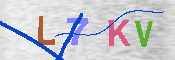 キャプチャ画像