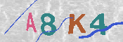 キャプチャ画像