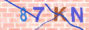 キャプチャ画像