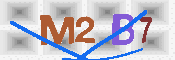 キャプチャ画像