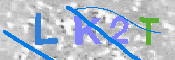 キャプチャ画像