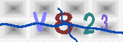 キャプチャ画像