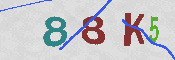 キャプチャ画像