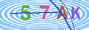 キャプチャ画像