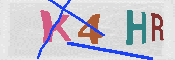 キャプチャ画像