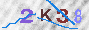 キャプチャ画像
