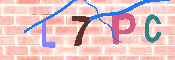 キャプチャ画像