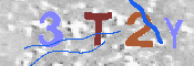 キャプチャ画像