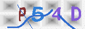 キャプチャ画像