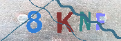 キャプチャ画像