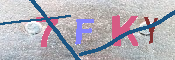 キャプチャ画像