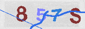 キャプチャ画像