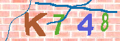 キャプチャ画像