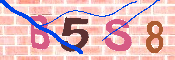 キャプチャ画像