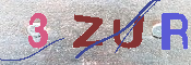キャプチャ画像