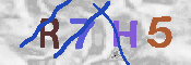 キャプチャ画像