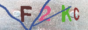 キャプチャ画像