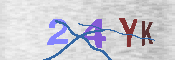 キャプチャ画像