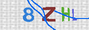 キャプチャ画像