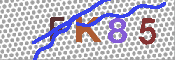 キャプチャ画像