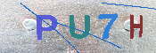キャプチャ画像