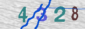 キャプチャ画像
