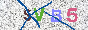 キャプチャ画像