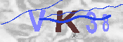 キャプチャ画像