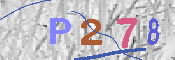 キャプチャ画像