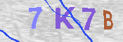 キャプチャ画像