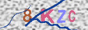 キャプチャ画像