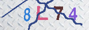 キャプチャ画像