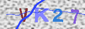 キャプチャ画像