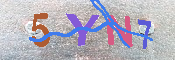 キャプチャ画像