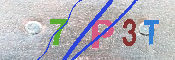 キャプチャ画像