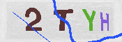キャプチャ画像